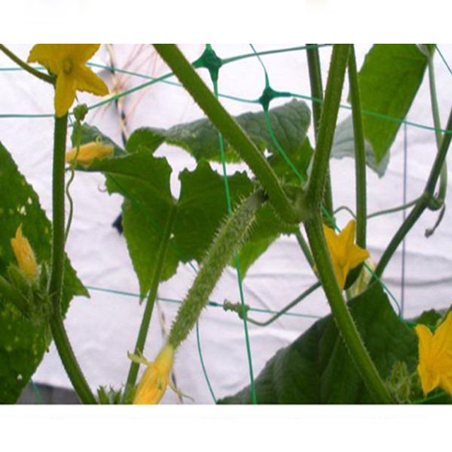 HDPE/PP 10gsm white or green color planting net/plant support net