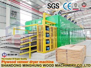  Pengering Veneer untuk Produksi Kayu Lapis