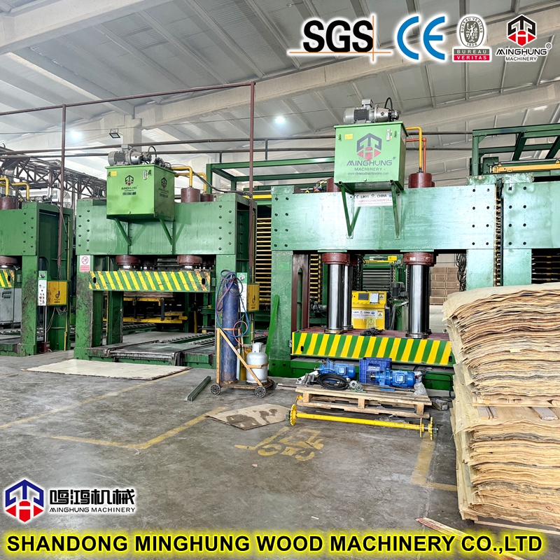 Cina MINGHUNG Mesin press dingin kayu lapis