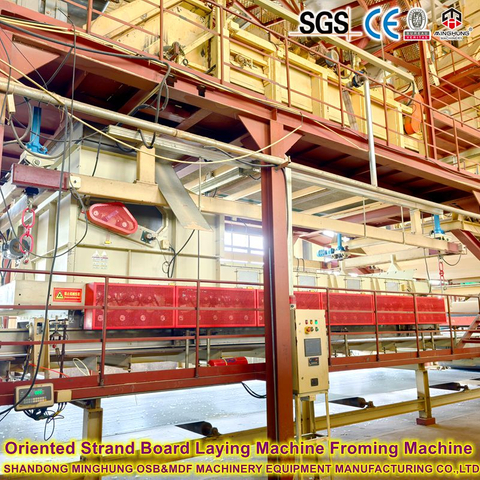 800m³ Jalur produksi OSB stabilitas tinggi harian 1220x2440mm