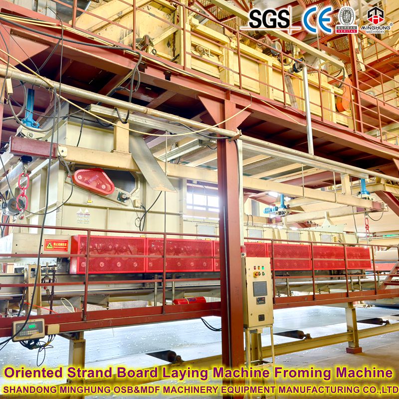 Mesin Froming Papan Strand Berorientasi