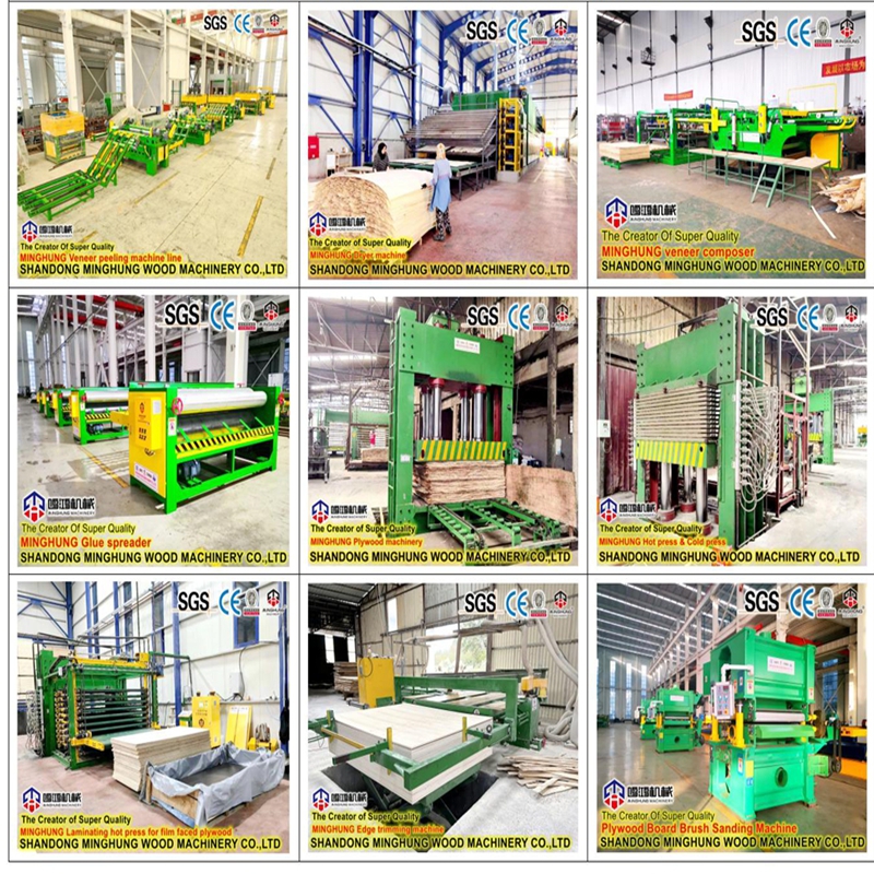 Jalur produksi kayu lapis China