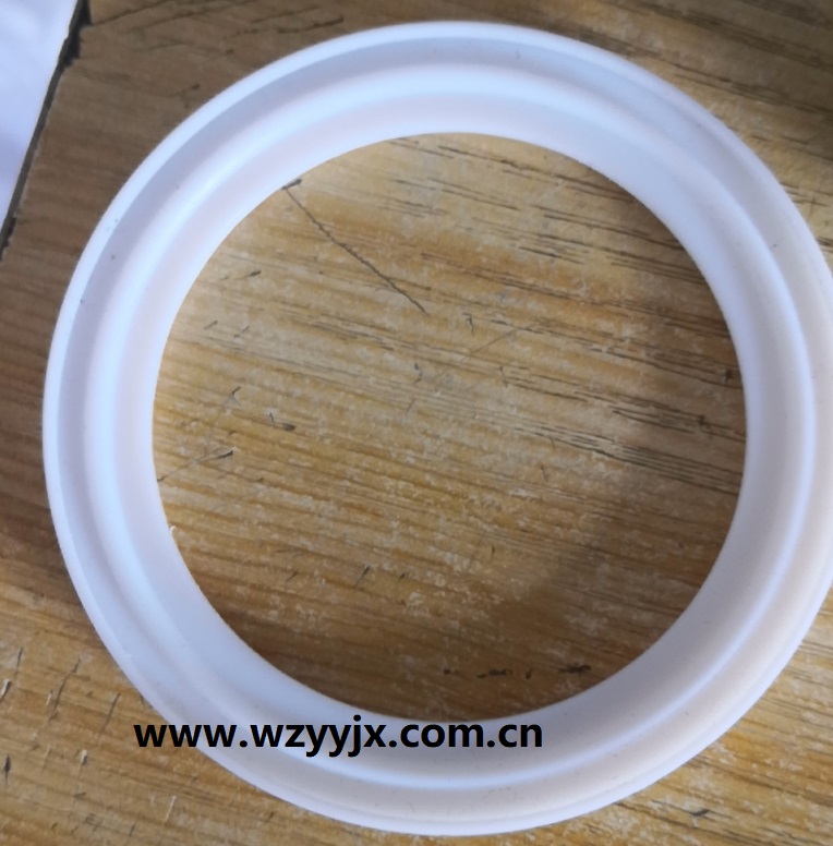 tc gasket with lip 1