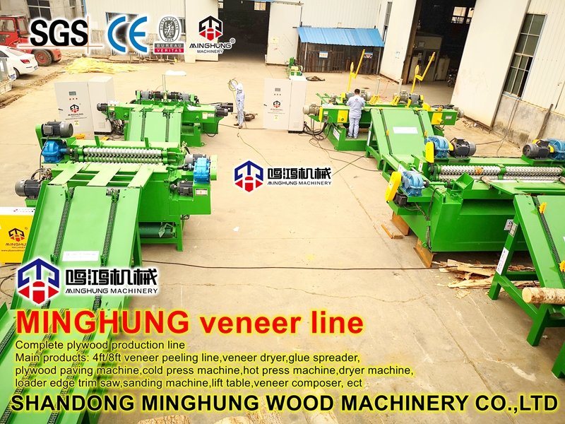 Mesin Pengolah Veneer Woodworking Machine