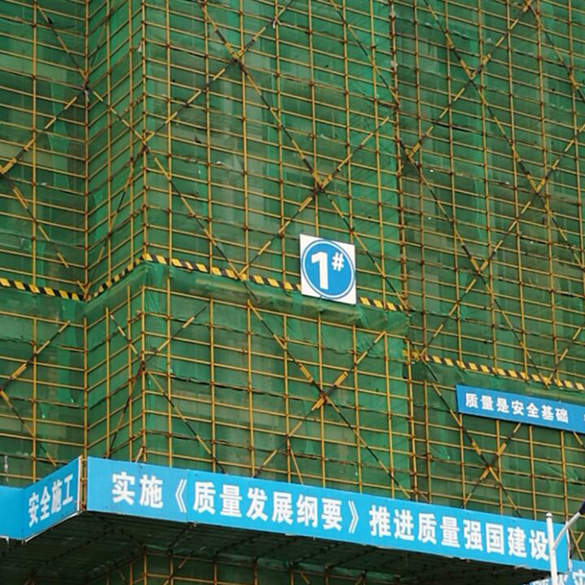 HDPE 220gsm green color scaffold net
