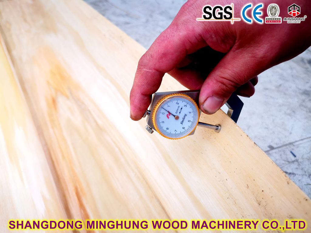 Veneer Poplar
