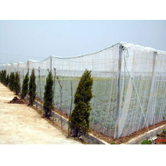 HDPE 120gsm white or other color anti hail net