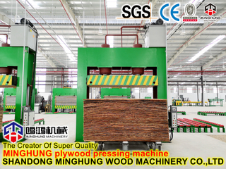 Cold Press Kayu Lapis 50 Ton untuk Produksi Skala Kecil
