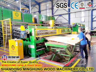 Birch Veneer Peralatan Pengeringan Efisiensi Tinggi