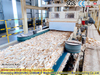 Jalur Produksi China OSB