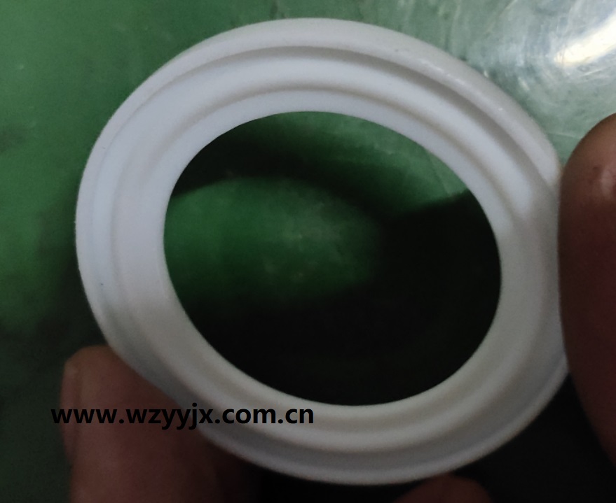 Teflon TC Ferrule Gasket With Lip