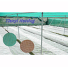 HDPE 80gsm green color or other color Anti Insect Net