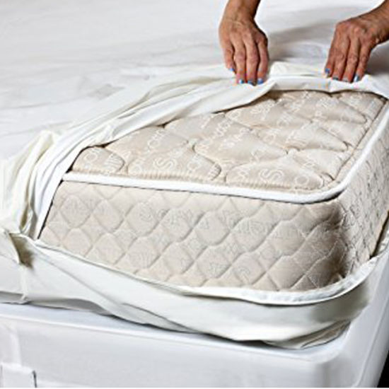 bed bug mattress cover king size