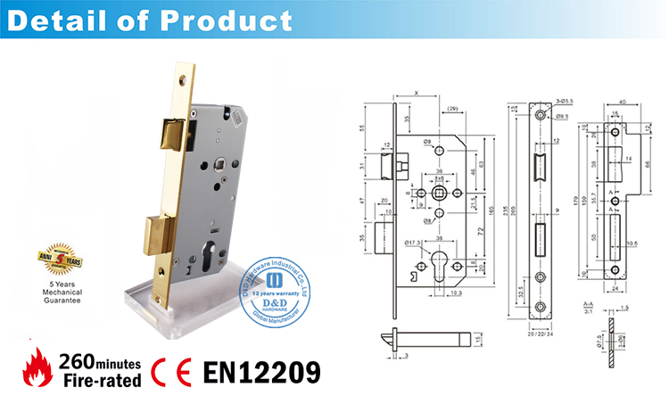 Lock Polised Brass-CE Mortise Door Lock DDML009-D&D Hardware