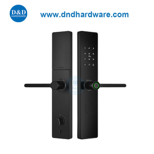 生物识别智能卡指纹前门门铃锁入口门DDDL009