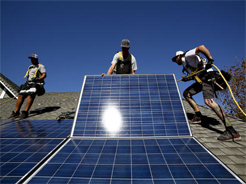¿Por qué en granjas de energía solar?