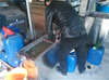 Ultrasonic wave printing anilox roller cleaning machine