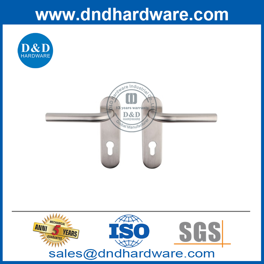 Manija de palanca de tubo de puerta delantera de acero inoxidable con placa posterior-DDTP008