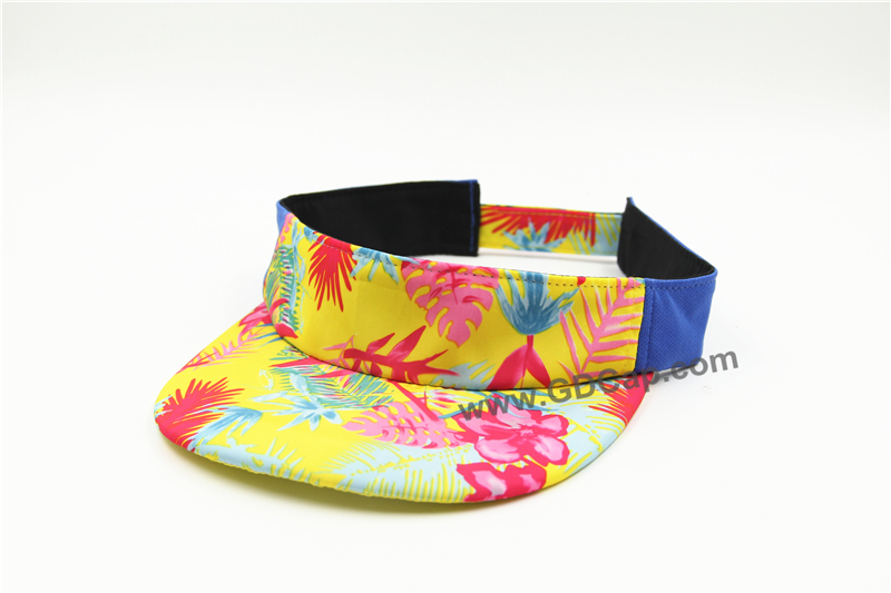 Sun Visor016