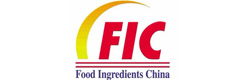 FIC 2017