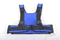 Wheelchair security constraint vest