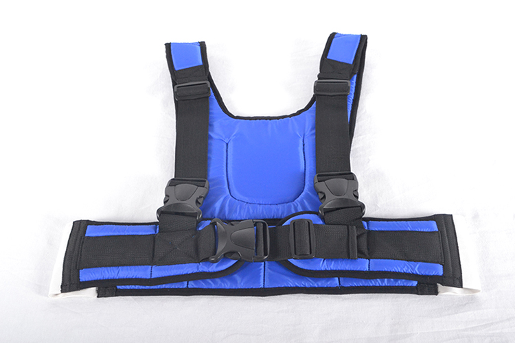 Wheelchair security constraint vest