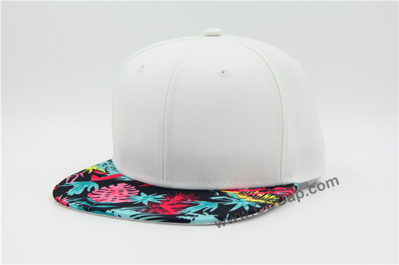 Snapback Cap033
