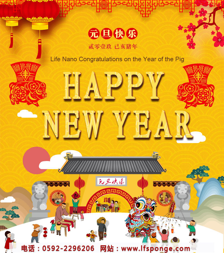 lfsponge-for-2019-New-Year's-Day