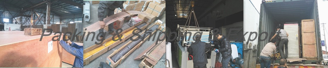 Packing & Shipping & Export