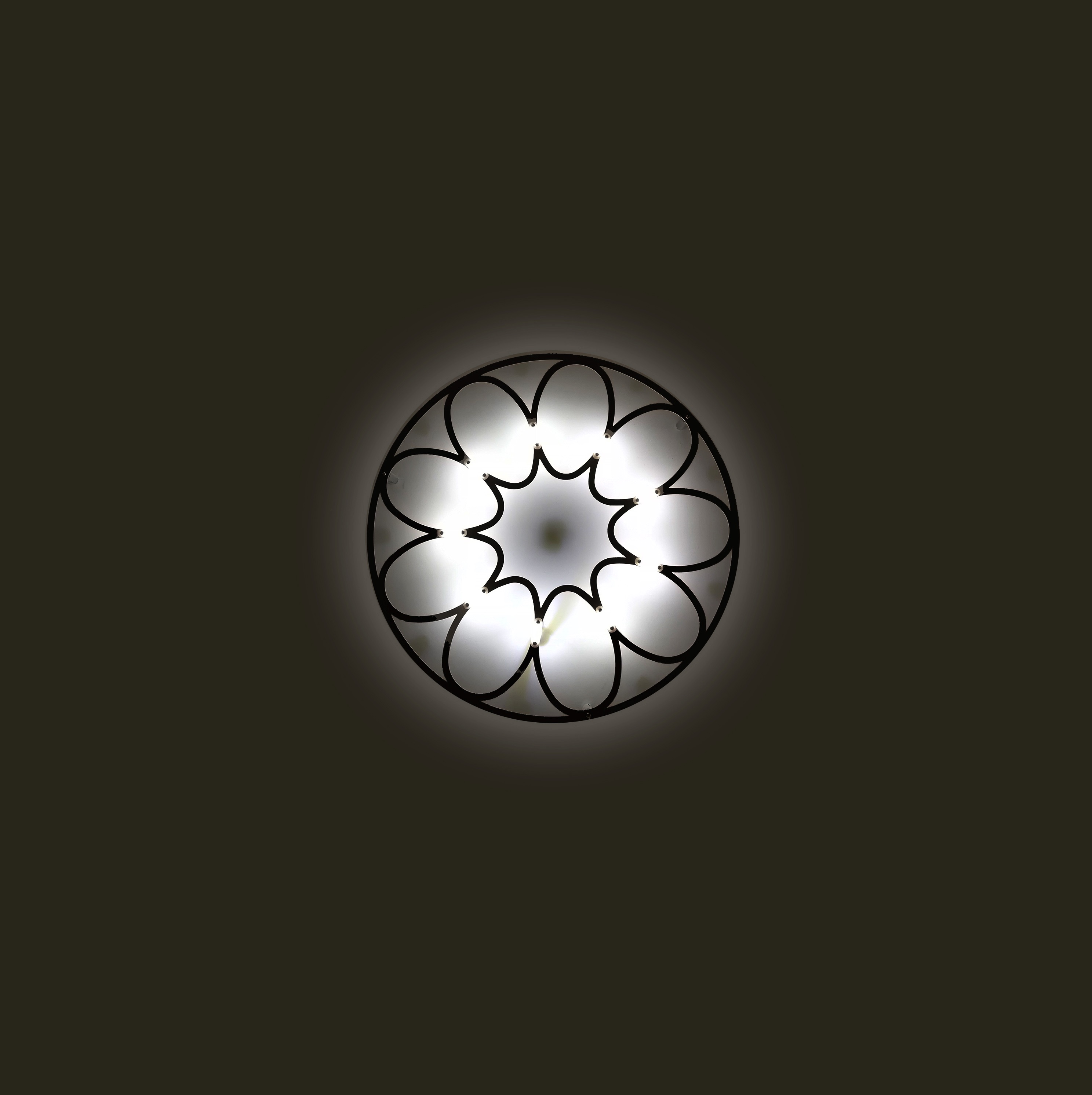 Современные железные акриловые цветочные светодиодные настенные светильники (KA814W/M)