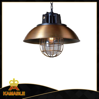 Декоративный подвесной светильник из промышленной стали (C7025(BRASS))