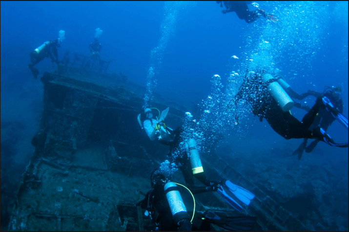 DQ6% 5DF6T1 (CMF5W% 7df% 7b% 24vu) yf