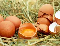 //a0.leadongcdn.com/cloud/piBqnKmmSRqloqrijikp/Feed-Additive-Choline-Chloride.webp