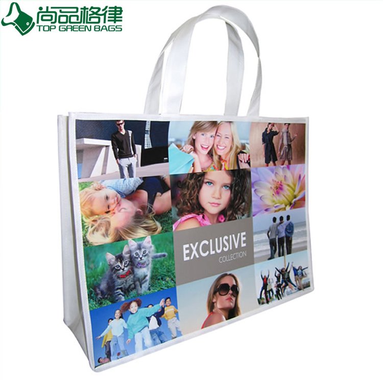 Promotion Laminated Nonwoven Carrier Gift Tote (TP-LB294)
