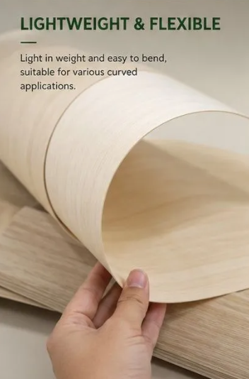 Eudr Fsc Certificate Bleached Natural Poplar Veneer White Poplar Wood Veneer