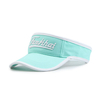 Sun Visor
