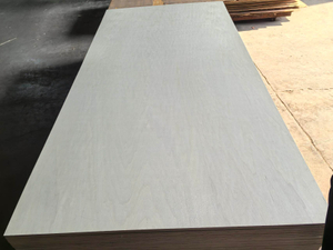 Eudr Fsc Certificate Bleached Natural Poplar Veneer White Poplar Wood Veneer