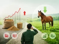 Fluctuaciones de los precios de la harina de soja