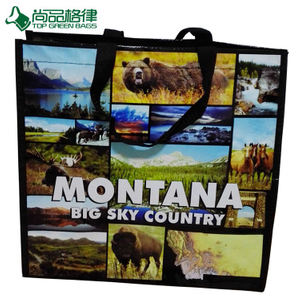 Reusable Laminated PP Woven Tote Shopping Bag (TP-LB367)