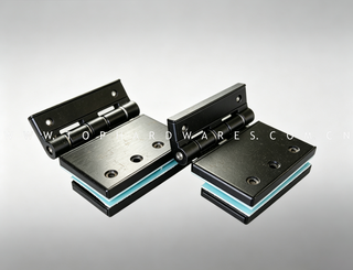 TOP-Glass Door Hinge