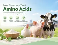 //a0.leadongcdn.com/cloud/pkBqnKmmSRrnrrqljjkq/Basic-elements-of-feed-Amino-Acids.webp