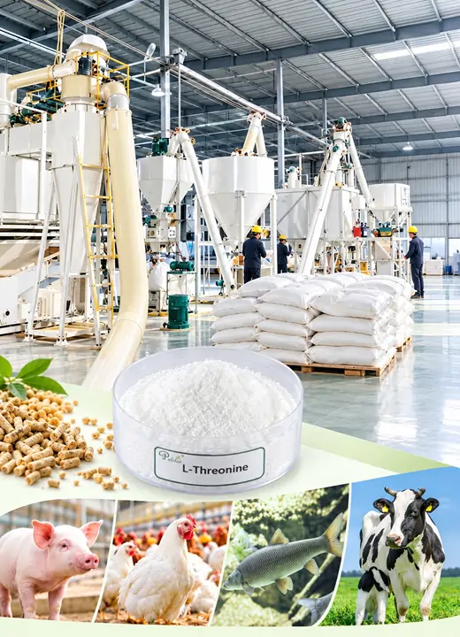 Polifar L-Threonine Helps Balance Amino Acids for Animals