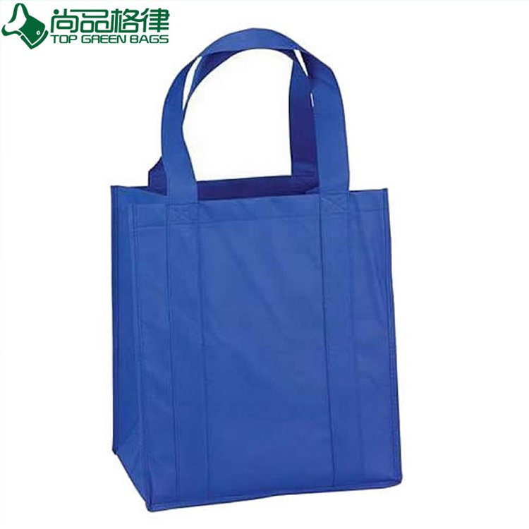 Promotional Cheap Eco-Friendly Non Woven Bag (TP-SP315)