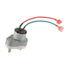 48mm DC Gear Motor with Ovoid gearbox