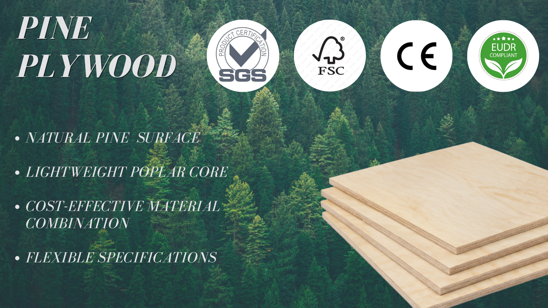 Competitive Price FSC Certified/ EUDR Compliance Commercial Pine Plywood with Poplar Core