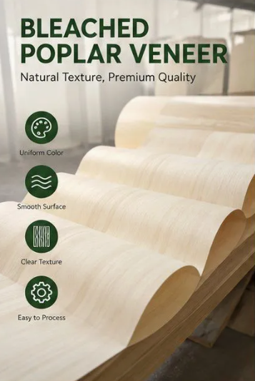 Eudr Fsc Certificate Bleached Natural Poplar Veneer White Poplar Wood Veneer