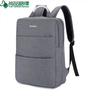 2017 New Design Laptop Backpack Leisure Backpack for Business (TP-BP274)