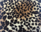 Fabric038