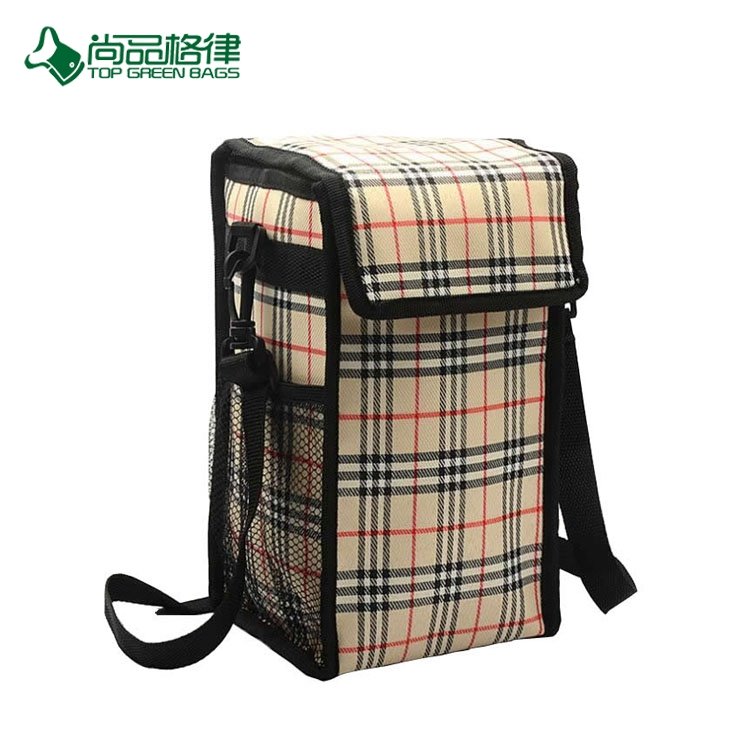 Simple Style Custom Large Capacity Storage Carry Cooler Bag