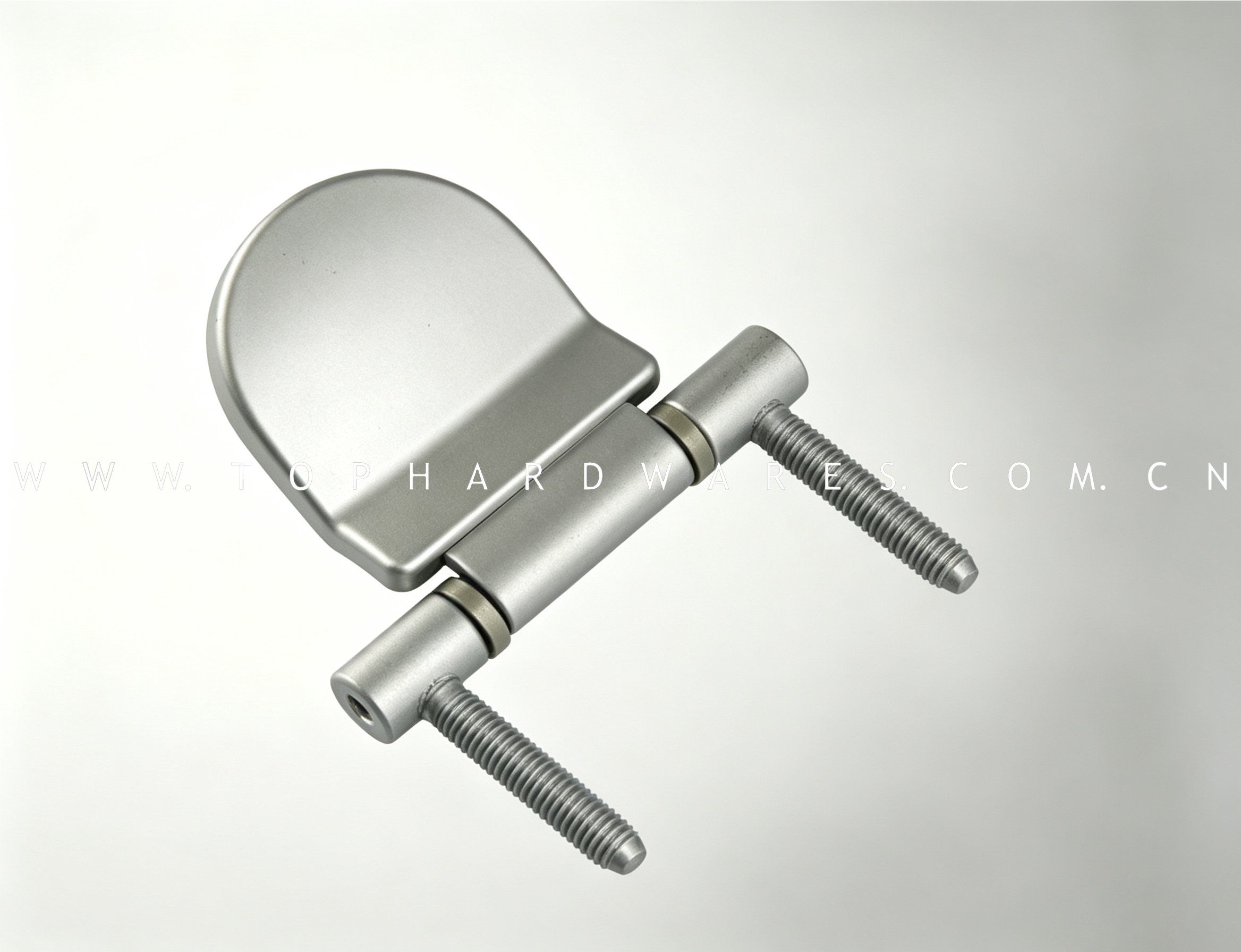 Shower Hinge